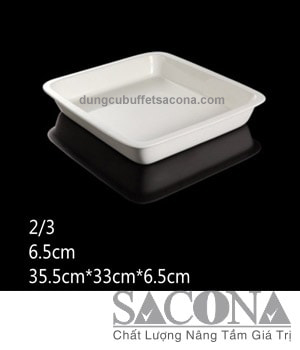 KHAY SỨ VUÔNG SNC520404